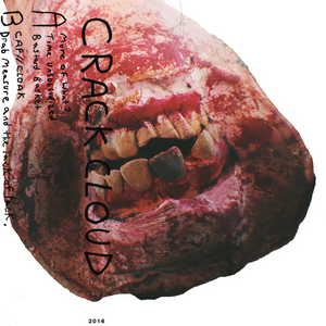 Crack Cloud - LP